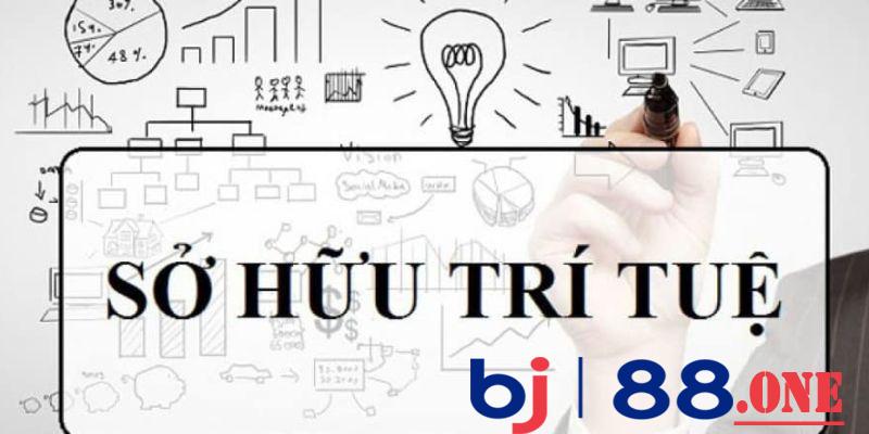 Tổng hợp các quy định về quyền sở hữu trí tuệ bj888