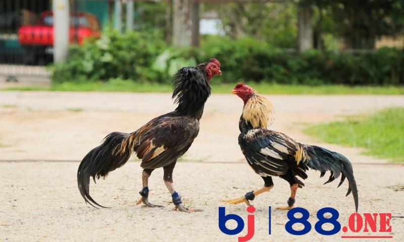 Điều chỉnh giờ ăn theo mùa và thời tiết