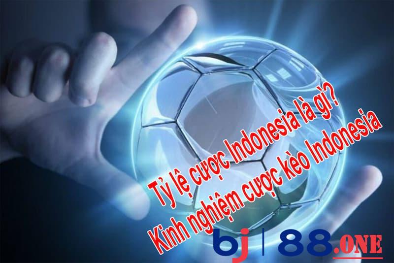 Tỷ lệ cược indonesia là gì?